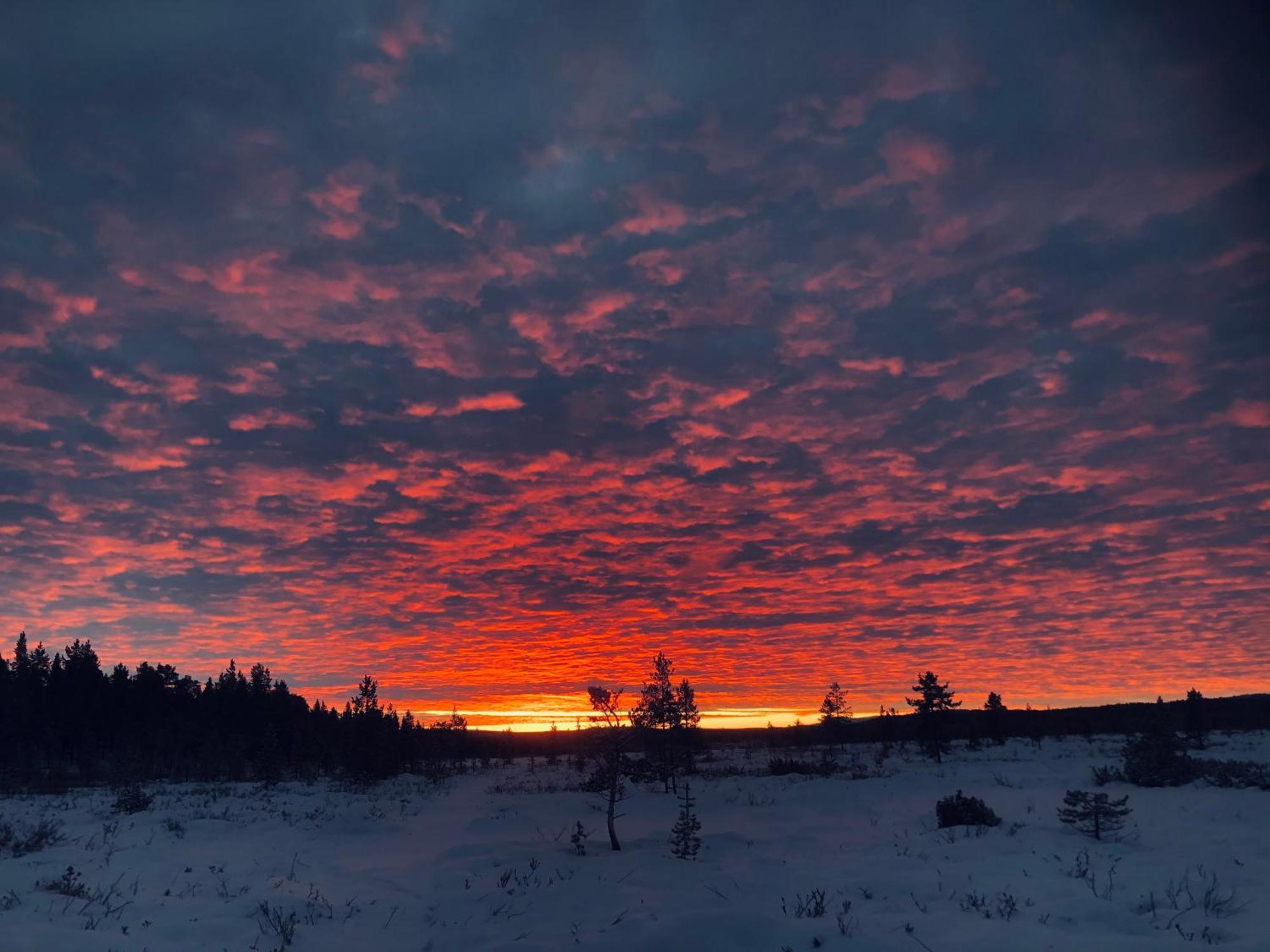 Отель Pasvik Taiga Skogfoss Экстерьер фото